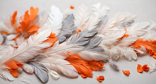 Design Studio 3D Feathers AG-FT-015