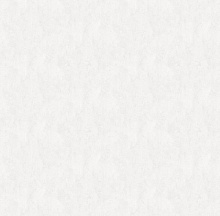 Victoria Stenova Kedr 286961