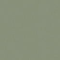 A100110